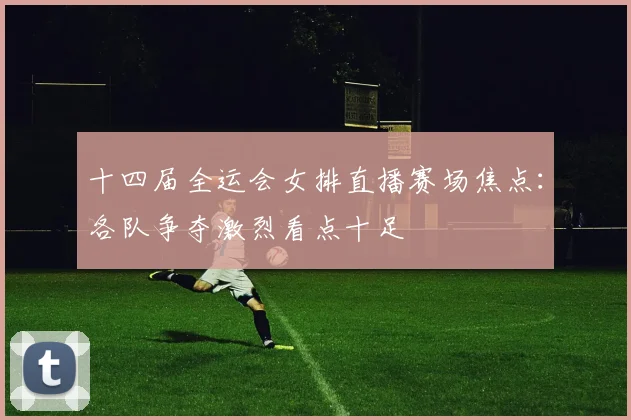 十四届全运会女排直播赛场焦点:各队争夺激烈看点十足